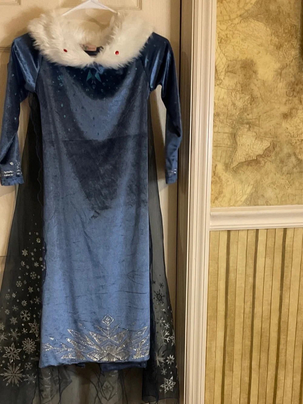 Frozen Princess Elsa Winter Princess Dress with Faux Fur Collar.